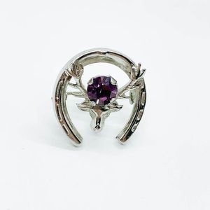 Vintage Mizpah Scottish Stag Horseshoe Purple Crystal Brooch, Clan